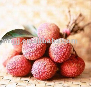 China Fresh lichi