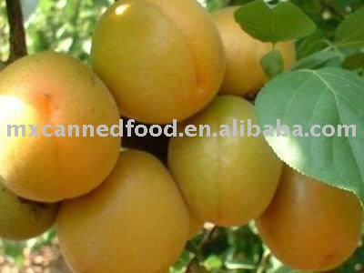 Delicious Preserved Apricot In Juice Can 7113#
