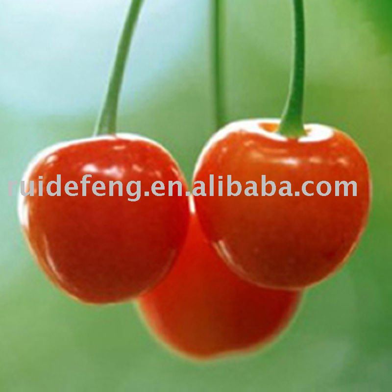 canned cherry in syrup (red, green, yviolet)