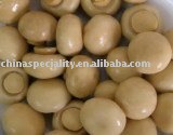 canned  mushroom whole