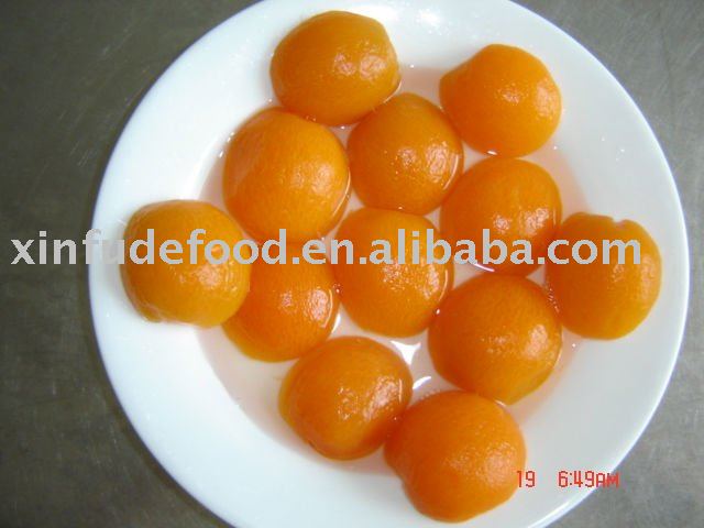 425g canned apricot in halves