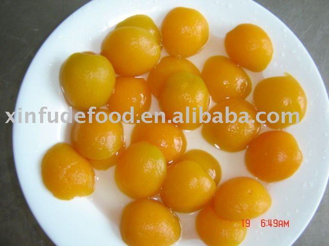 850g canned apricot in halves
