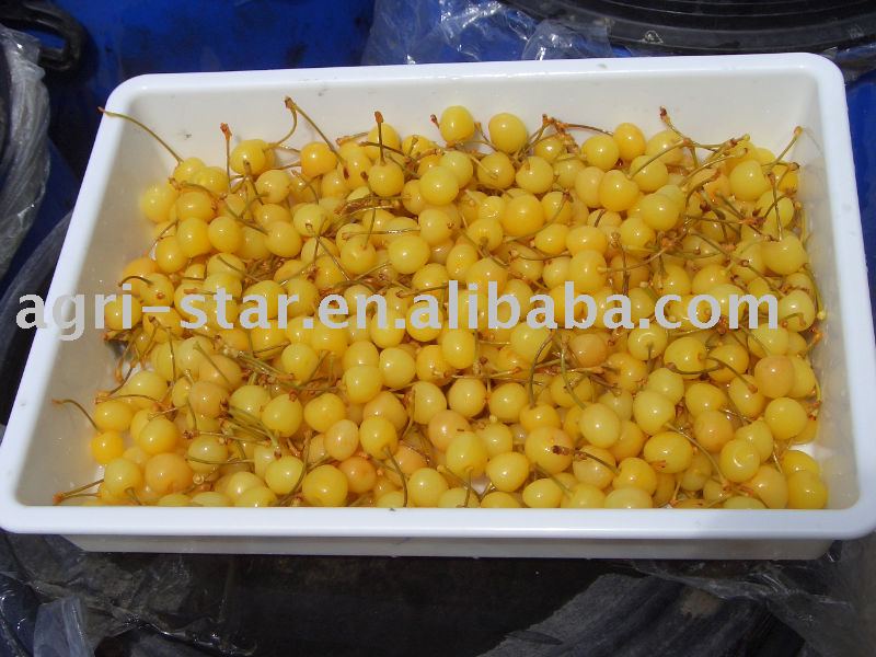 canned cherry/canned food