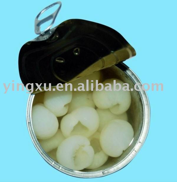 Canned longan in syrup(canned longan, canned fruit)
