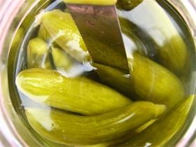 Pickle, preserved pickle