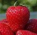 Strawberry Jam