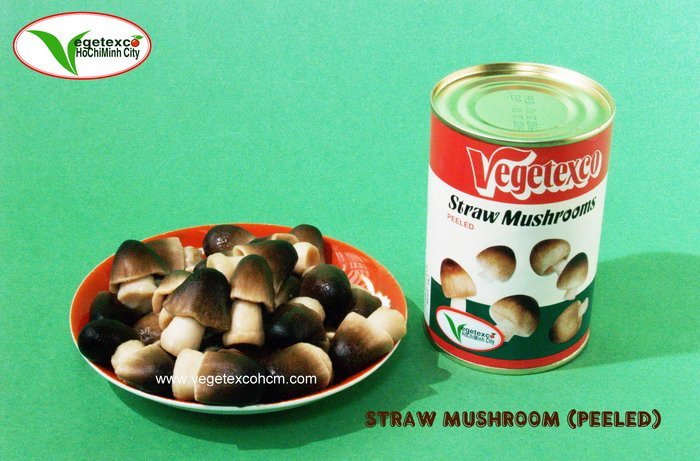 CANNED PEELED STRAW MUSHROOM