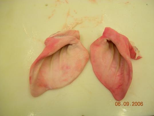  Frozen   Pig   Ears 