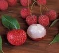 Canned Litchi