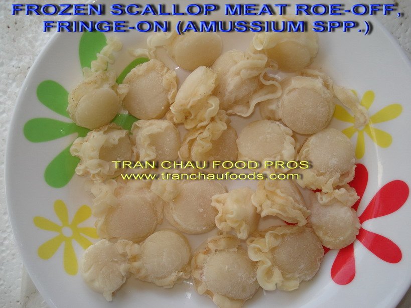 Scallop Meat Fringe On