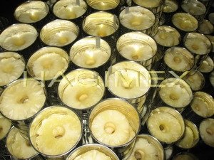 Canned Pineapple Slices