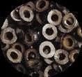 Sliced Black Olives