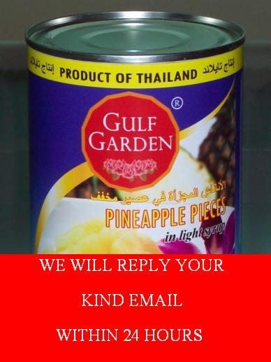 CANNED PINEAPPLE PIECES