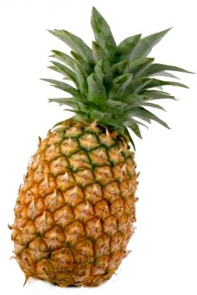 Pineapple Canned and Fresh from Costa Rica