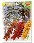 Sun-Ripened Dates
