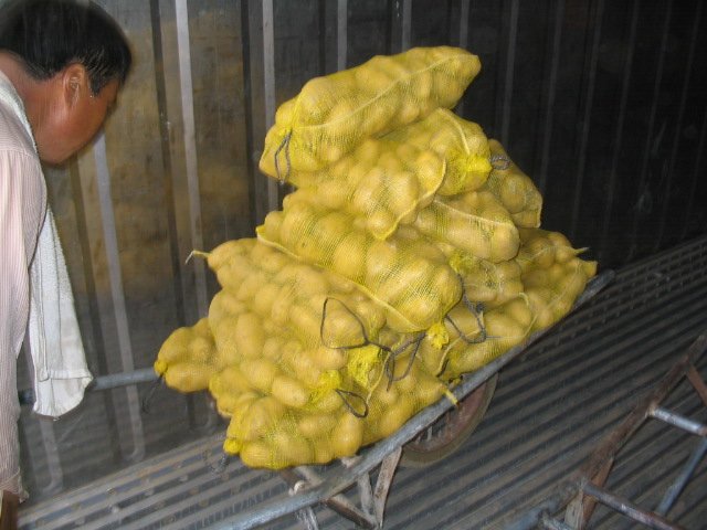 2011 new crop fresh potatoes