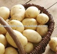 Fresh Yellow Holland Potatoes