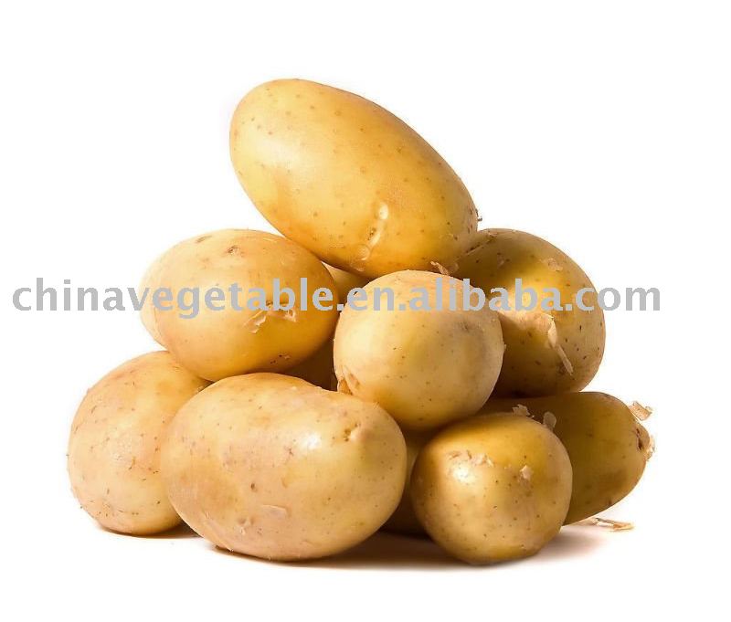 Fresh Potato,China GuangRui price supplier - 21food