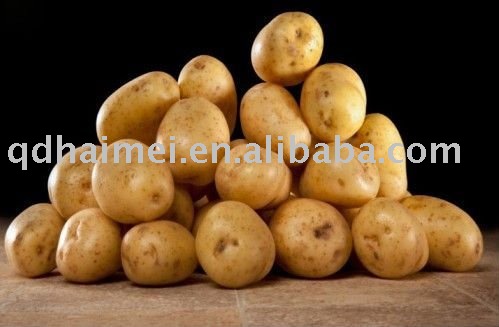 2011 New Crop Fresh Potato