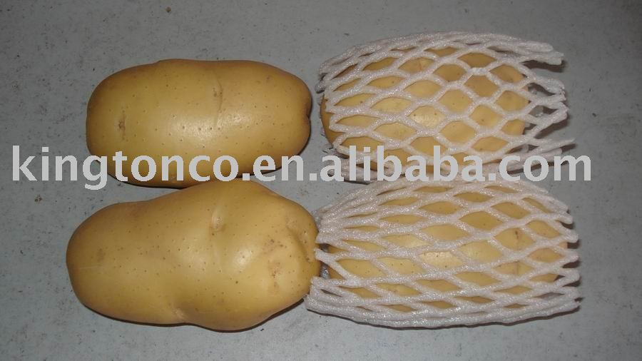 holland potato