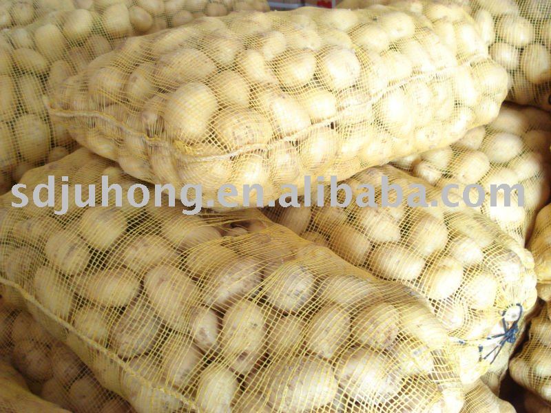 2011 fresh Holland potato