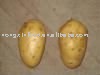  2011  new  crop  chinese fresh  potato 