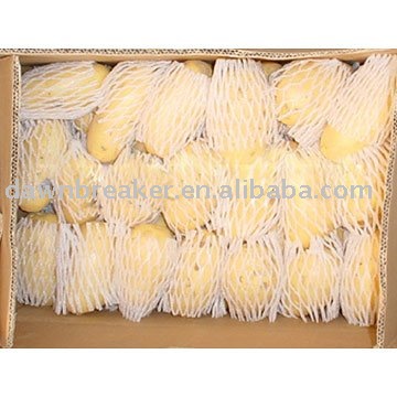chinese holland potato