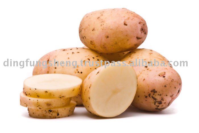 Fresh Round Potato, Potato, Round Potatoes