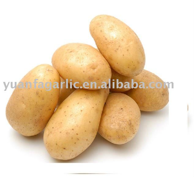 China Fresh Potato in Mesh Bag Package