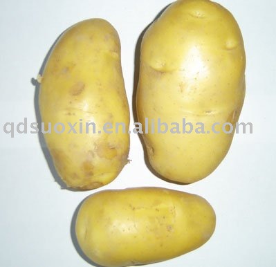 Fresh Potatoes