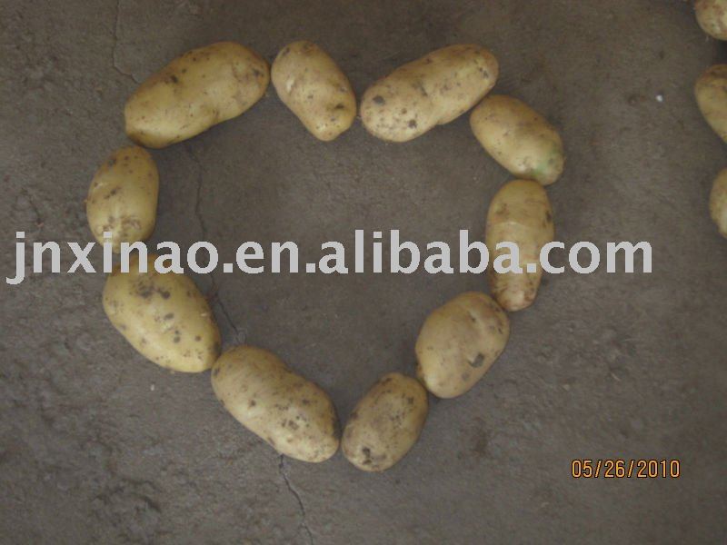 fresh potato 2010