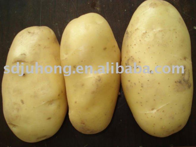 fresh yellow potato