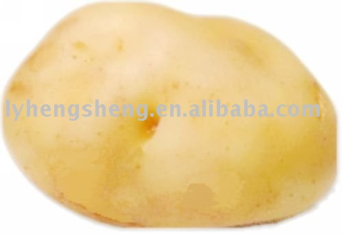 big potato