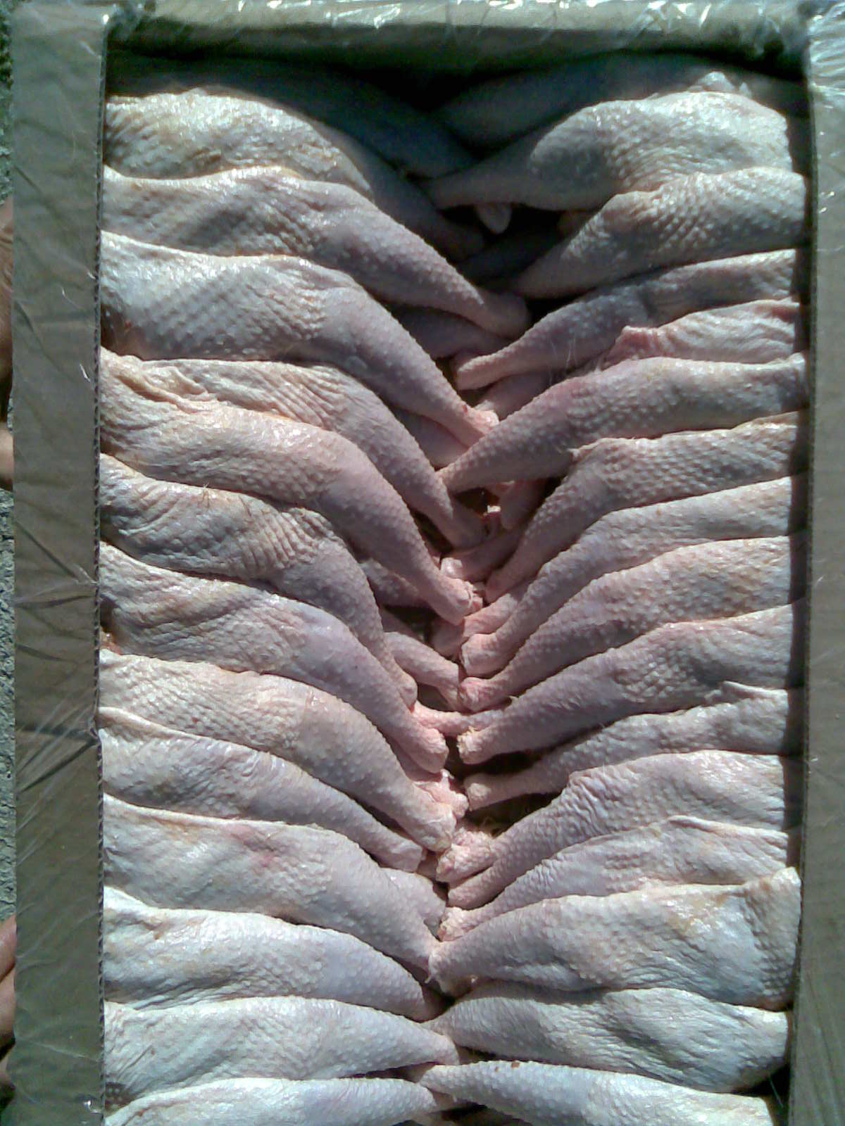 Whole  Frozen   Hens  A Grade