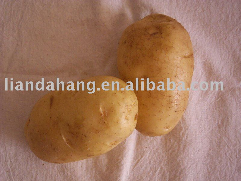 Chinese Holland Potato