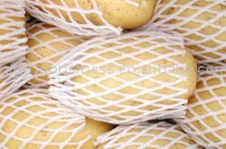Potato
