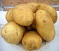 fresh chinese potato
