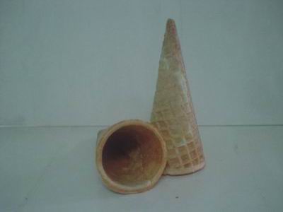 Regular Junior Cone