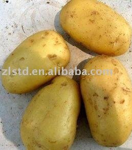 Fresh potato