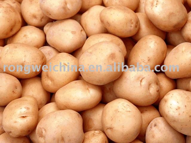 fresh potato