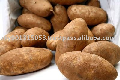 Fresh Round Potato, Potato, Round Potatoes, Fresh Potato