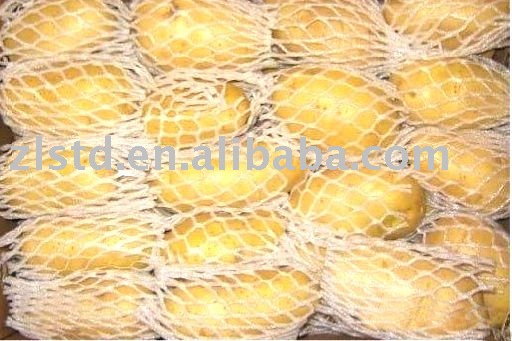 Yellow Fresh Potato