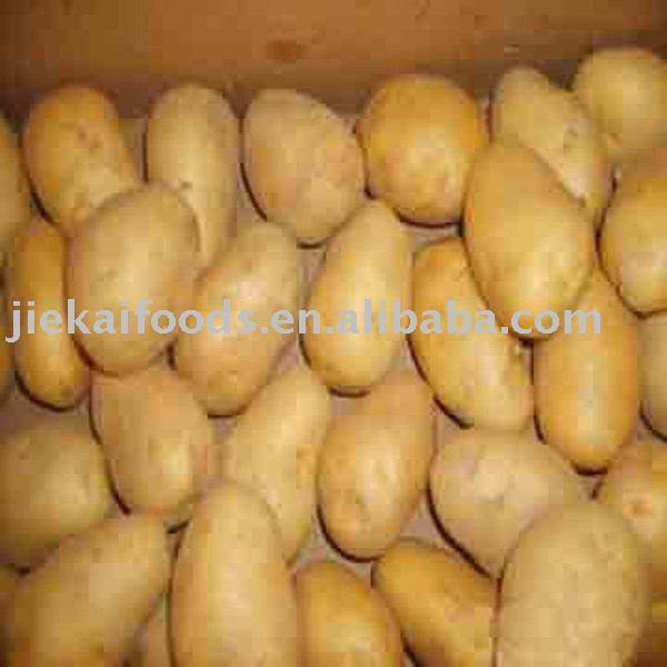 potato,China 0 price supplier - 21food