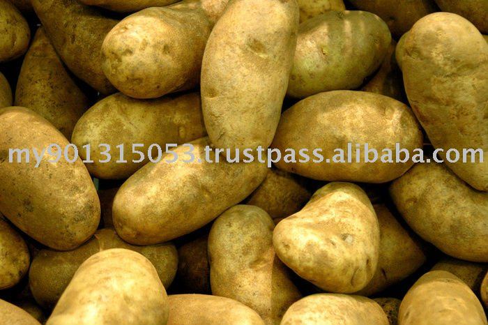 Fresh Potato, Potatoes, Chinese Potato, Potato, Yellow Potato