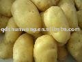 2011 fresh potato, new potato seed