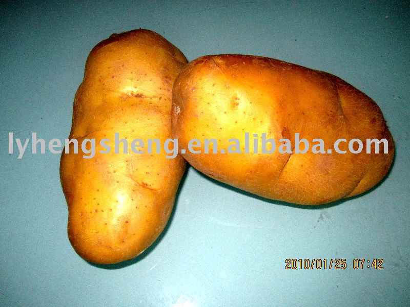 Chinese good quanlity potato