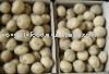 chinese large size holland potatoes