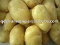  2011   fresh  potato