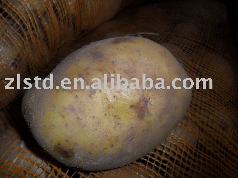 CHINESE FRENSH POTATO
