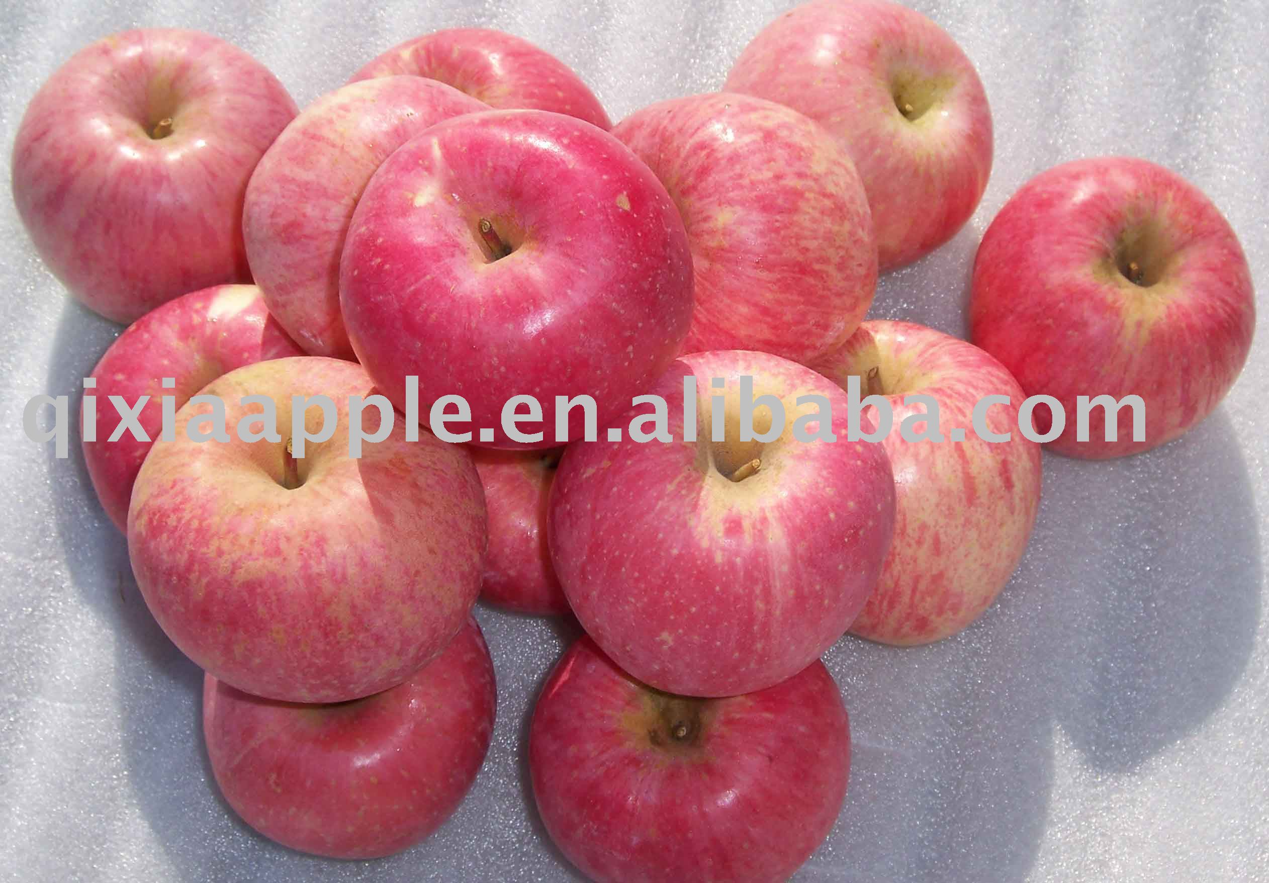 2010 red striped Fresh Yantai Red Fuji Apple